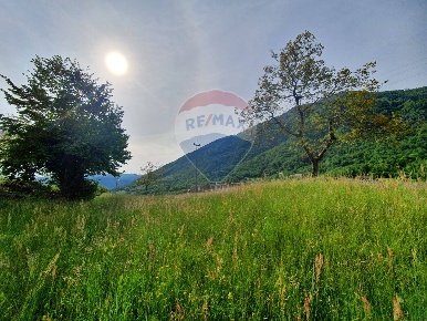 Foto Terreno residenziale a Feltre Tomo di 1650 m² in vendita