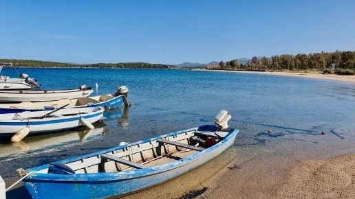 immagine annuncio 6 di 11