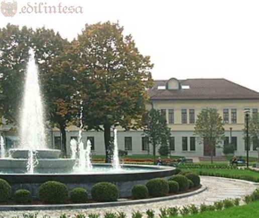 immagine annuncio 11 di 15