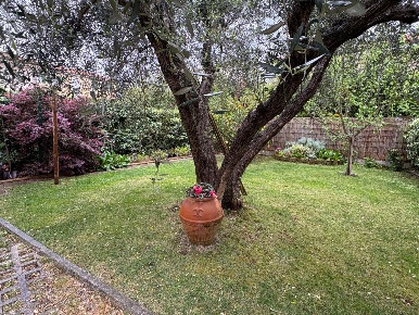 Foto Villa unifamiliare a Vecchiano Migliarino di 210 m² con 9 locali