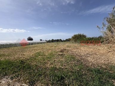 Foto Terreno agricolo in Via PONTE DI FERRO 74, Terracina di 2300 m²