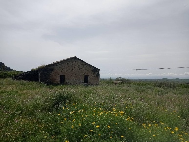 Foto Rustico in san marco, Paternò di 300 m² con 1 locali in vendita