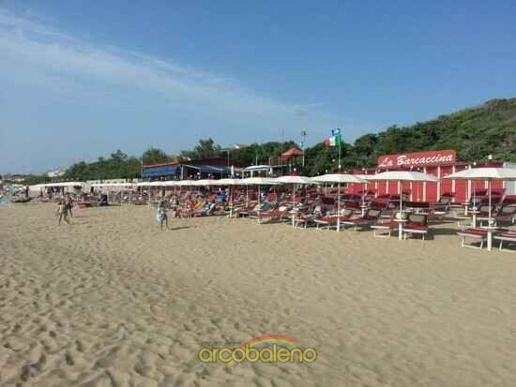 immagine annuncio 11 di 12