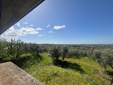 Foto Rustico in via di tinte rosse, Montelibretti di 189 m² con 10 locali