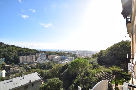 Foto Appartamento in Via Pasquale Berghini 48, Genova San Fruttuoso