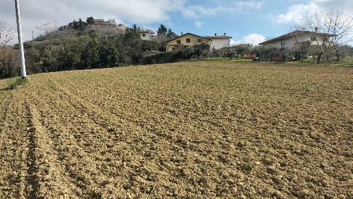 Foto Terreno agricolo in CONTRADA FORNACI, Collecorvino Centro di 12669 m²