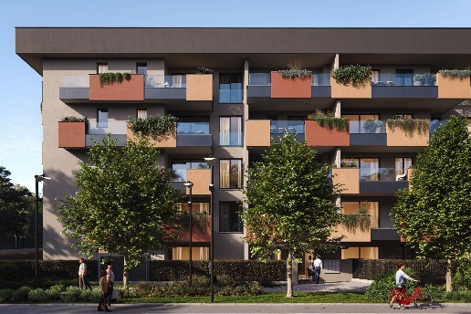 immagine annuncio 1 di 15