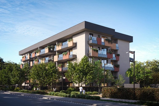 immagine annuncio 3 di 15