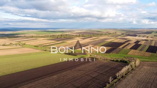 Foto Terreno agricolo in Via Kennedy, Altivole di 12800 m² in vendita