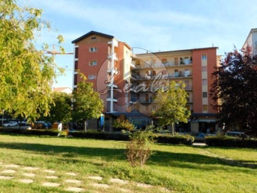 immagine annuncio 1 di 9