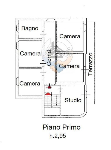 immagine annuncio 13 di 15