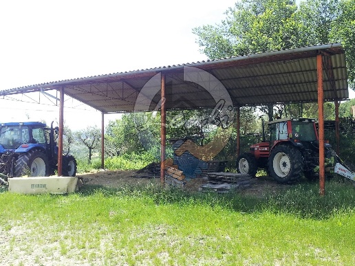 immagine annuncio 5 di 8