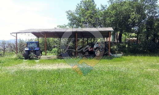 immagine annuncio 6 di 8