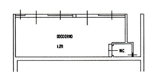 immagine annuncio 12 di 13