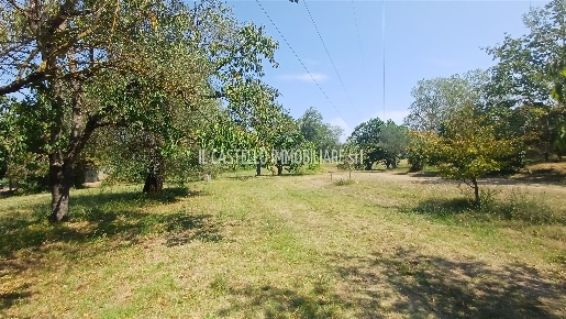 Foto Terreno agricolo a Sarteano di 14000 m² in vendita
