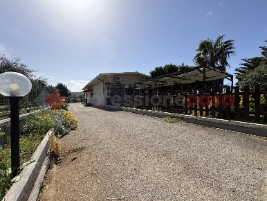 Foto Negozio in Via SAN SILVIANO 8, Terracina Casaletti, San Silviano