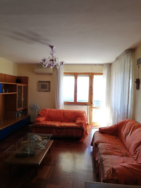 immagine annuncio 7 di 14