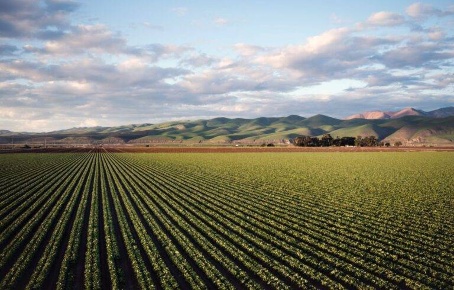 Foto Terreno agricolo a Busnago di 32457 m² in vendita