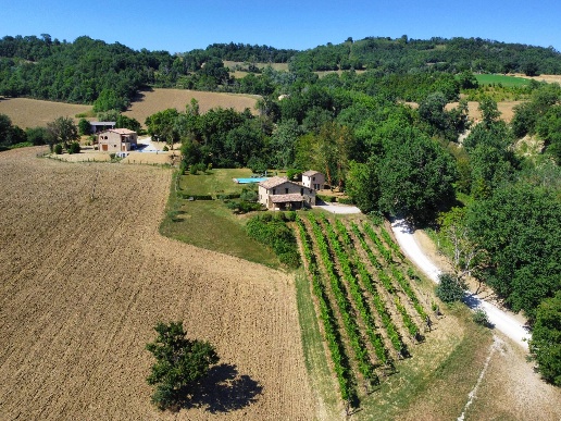 immagine annuncio 5 di 15