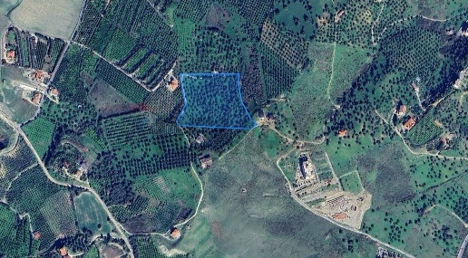 Foto Terreno agricolo in Via Cannata SNC, Corigliano-Rossano di 21220 m²