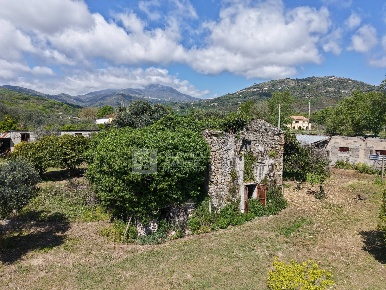 Foto Rustico in Località Ardisani, Casal Velino di 175 m² con 6 locali
