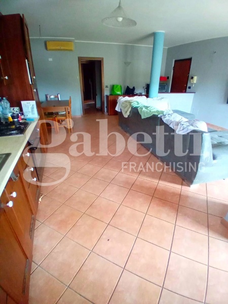 immagine annuncio 1 di 13