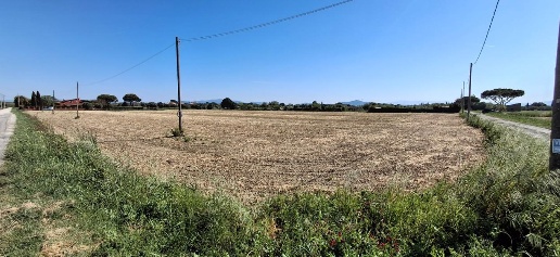 Foto Terreno agricolo a Grosseto La Principina di 22000 m² in vendita