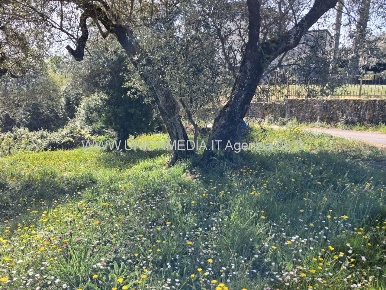 Foto Terreno edificabile a Arcola Centro di 1460 m² in vendita