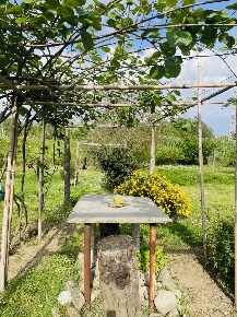 Foto Terreno agricolo a Arcola di 2500 m² in vendita