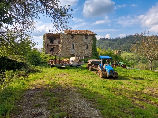 immagine annuncio 3 di 14