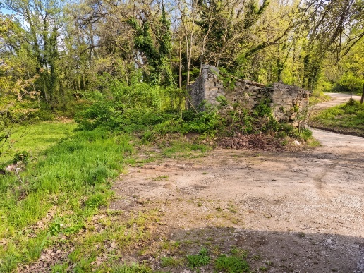 immagine annuncio 6 di 14