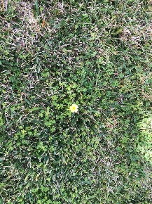 Foto Terreno edificabile in Viale Epipoli, Siracusa Epipoli di 1119 m²