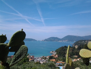 Foto Appartamento a Lerici Pugliola, Solaro di 38 m² con 2 locali