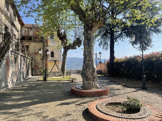 immagine annuncio 7 di 8