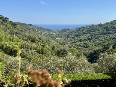 Foto Appartamento in Gli Olivi 4c, Diano Arentino Diano Evigno di 40 m²