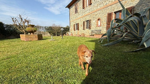 Foto Rustico in via giuseppe garibaldi, Buggiano Borgo A Buggiano di 380 m²