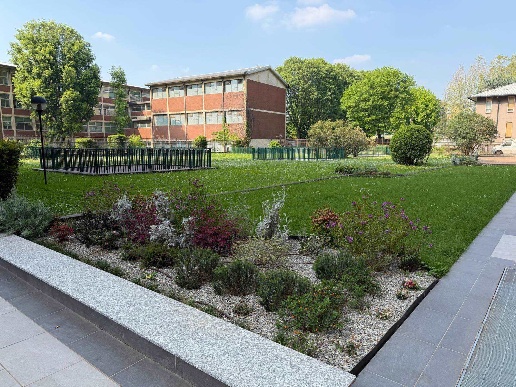 immagine annuncio 6 di 12