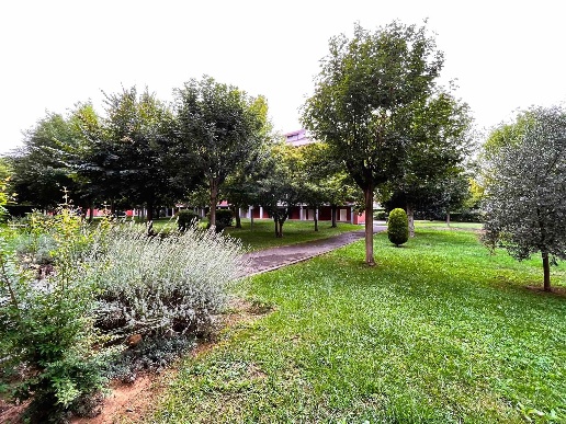 immagine annuncio 2 di 14