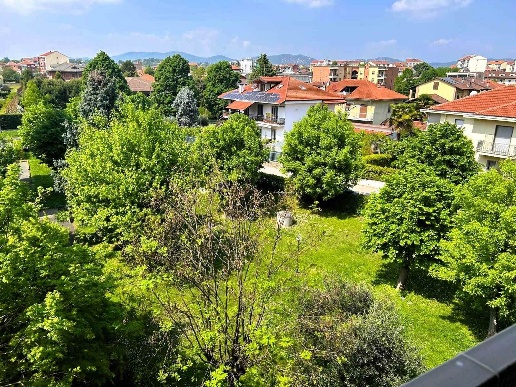 immagine annuncio 13 di 14