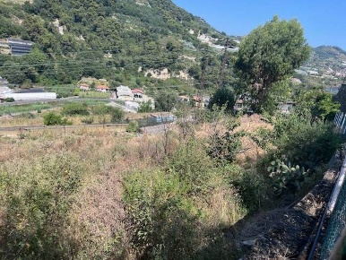 Foto Terreno agricolo a Vallecrosia di 6000 m² in vendita