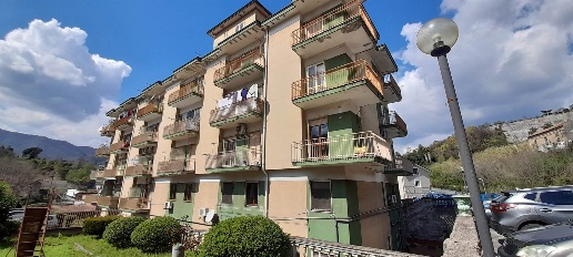 immagine annuncio 1 di 14