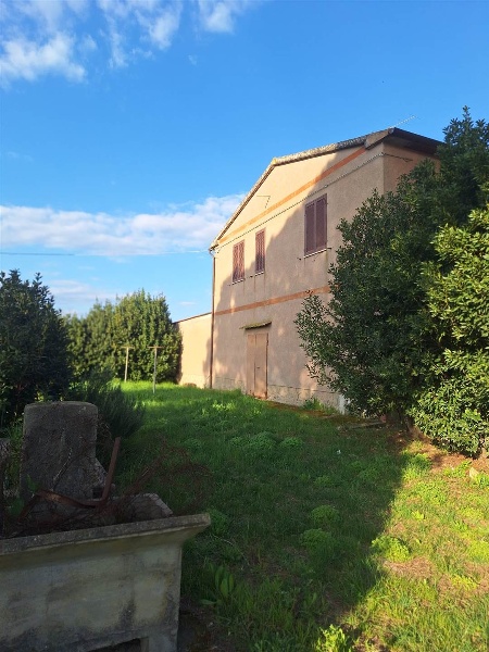 immagine annuncio 2 di 8