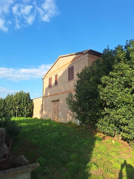 immagine annuncio 4 di 8