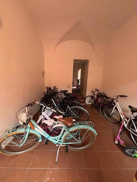 immagine annuncio 6 di 14