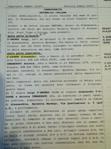 immagine annuncio 6 di 15