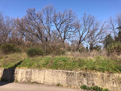 Foto Terreno agricolo in Via Cosenza Via Tommaso Arnoni 0, Cosenza