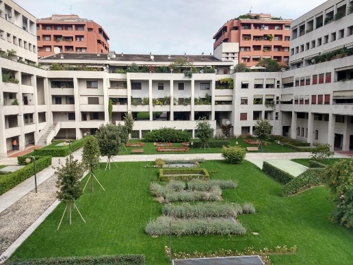 immagine annuncio 1 di 11