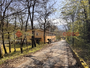 Foto Hotel in LocalitÃ  vecchio mulino Snc, Castel del Giudice di 780 m²