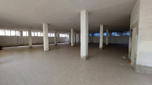 Foto Magazzino in Europa, Grosseto Regioni di 495 m² con 1 locali