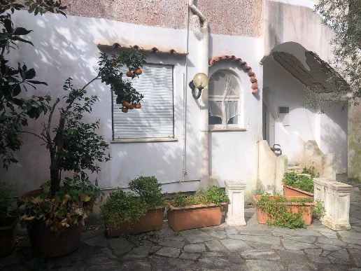 immagine annuncio 7 di 14